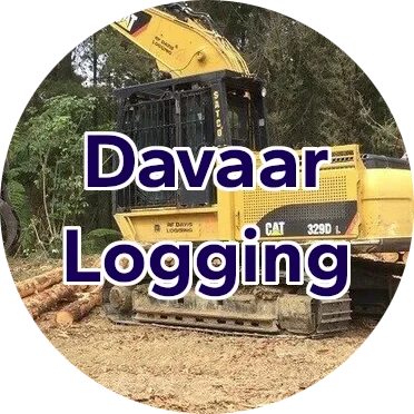 Davaar Logging
